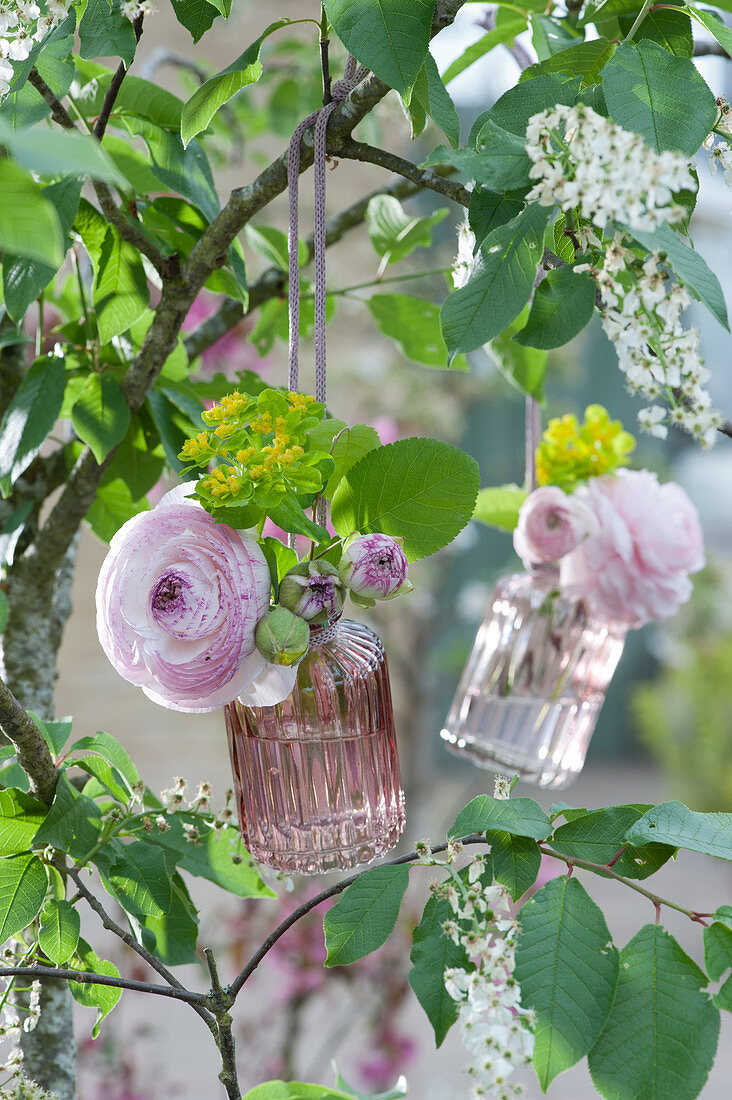 Small bottles with ranunculus flowers and milkweed hung on a tree