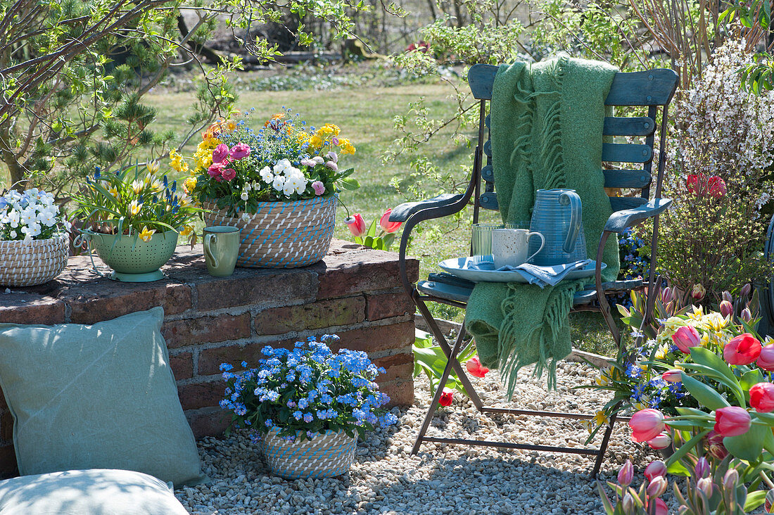Small gravel terrace in the garden, vessels with horned violets, wild tulips, tulips, grape hyacinths, primroses, ranunculus, forget-me-nots, chair with blanket, cups, jug and glasses