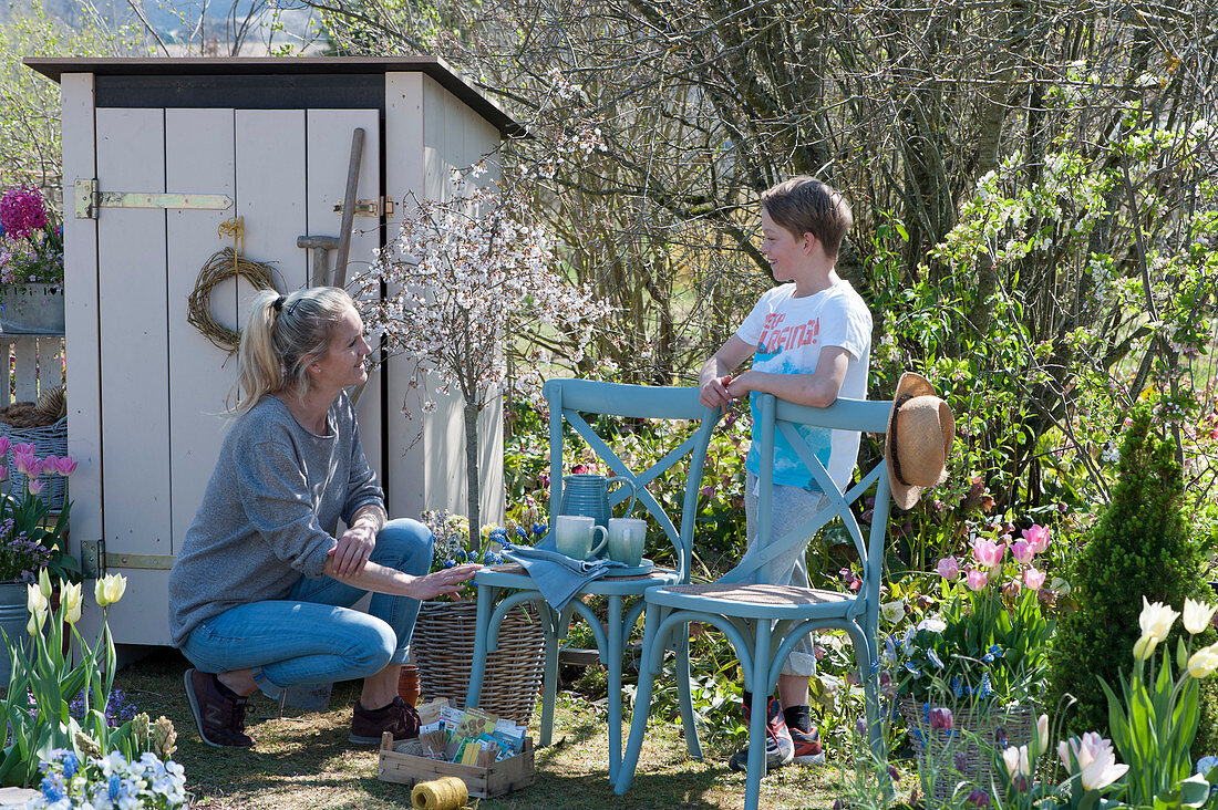Frau mit Sohn am Gerätehaus im Garten, Zierkirsche 'Kojou no mai', Tulpen in Körben, Obststiege mit Samentüten