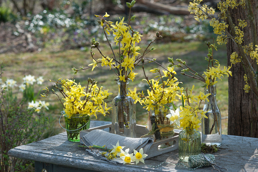 Gold bells bouquets and daffodils in glass bottles