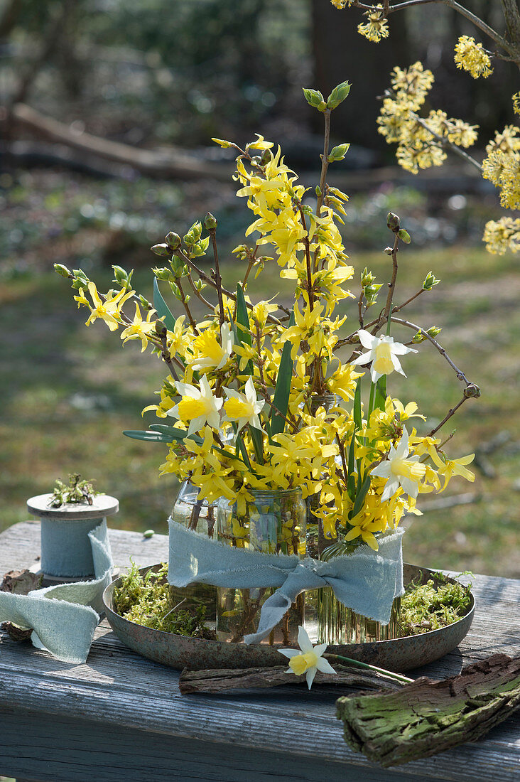 Spring decoration with gold bells and daffodils bouquets in bottles, tied with ribbon on a bowl with moss