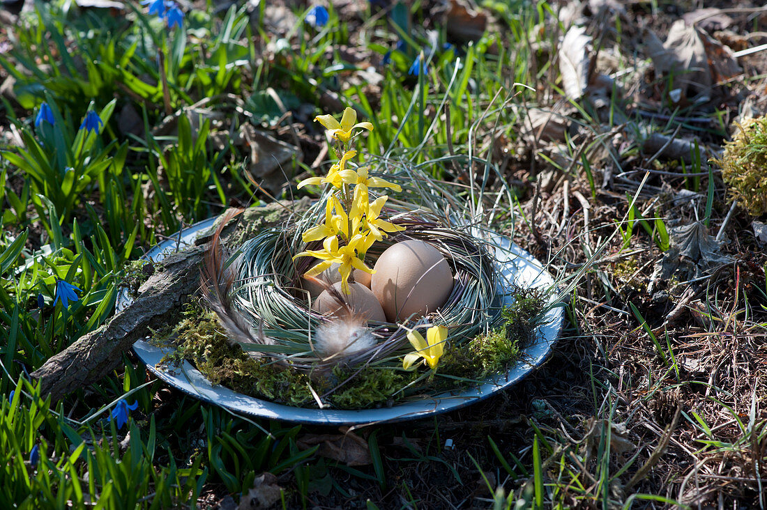 Easter basket in the garden: plate with a wreath of grass and moss with Easter eggs, gold bells branches and feathers