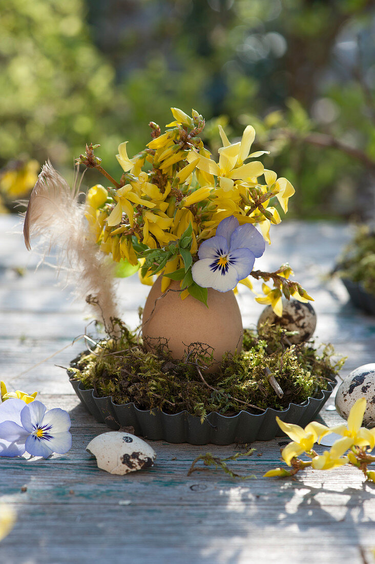 Kleiner Osterstrauß aus Zweigen von Goldglöckchen und Hornveilchen-Blüte in Ei als Vase auf Moos in Backförmchen