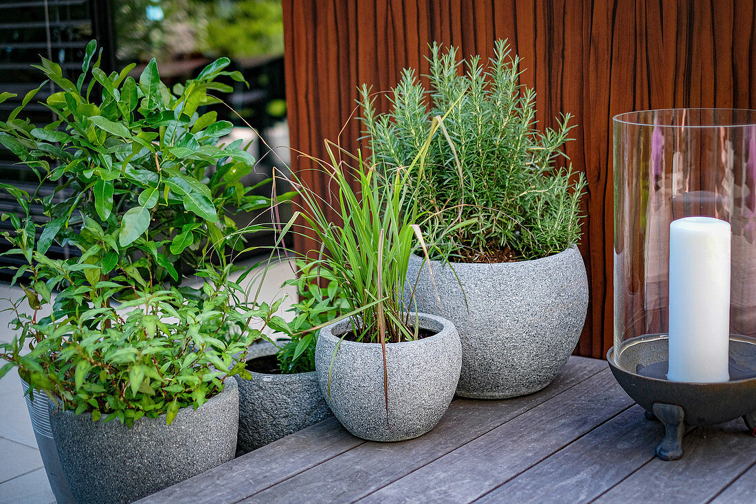 Kräutertöpfe auf der Terrasse