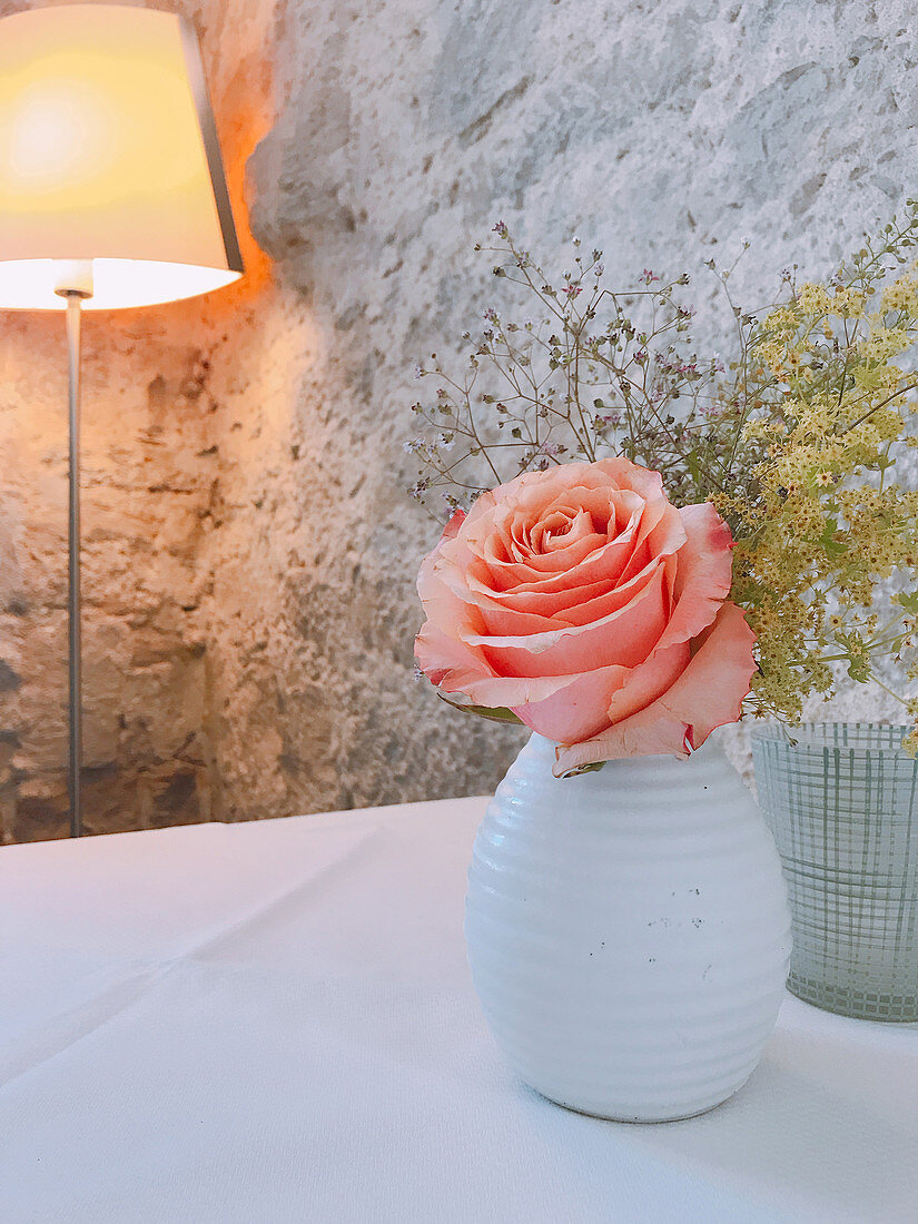 Rose in white ceramic vase