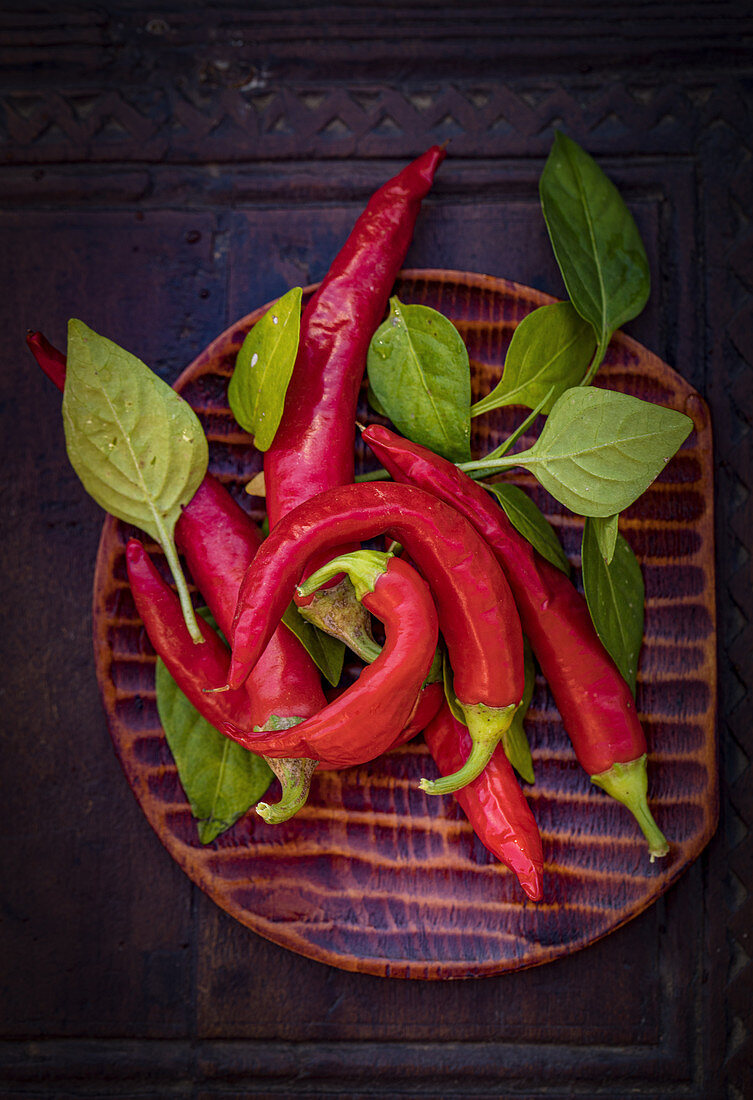 Frische rote Chilischoten mit Blättern