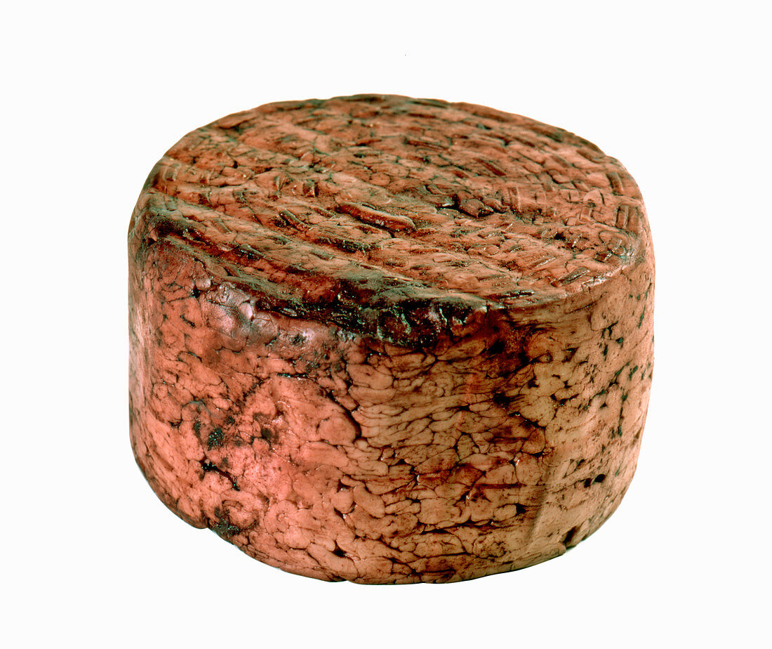 Brillo di Treviso (red-wine cheese, Italy)