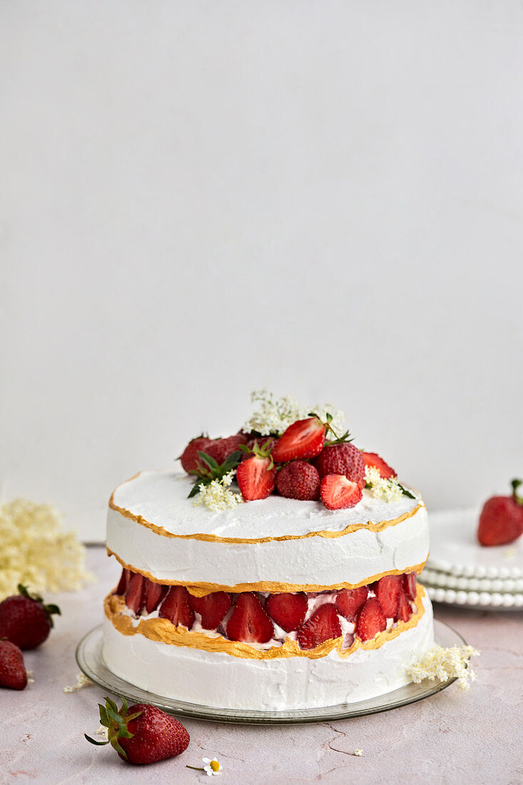 Strawberry fault line cake