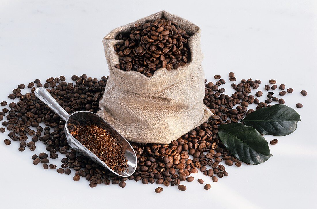 Coffee beans in sack and on scoop