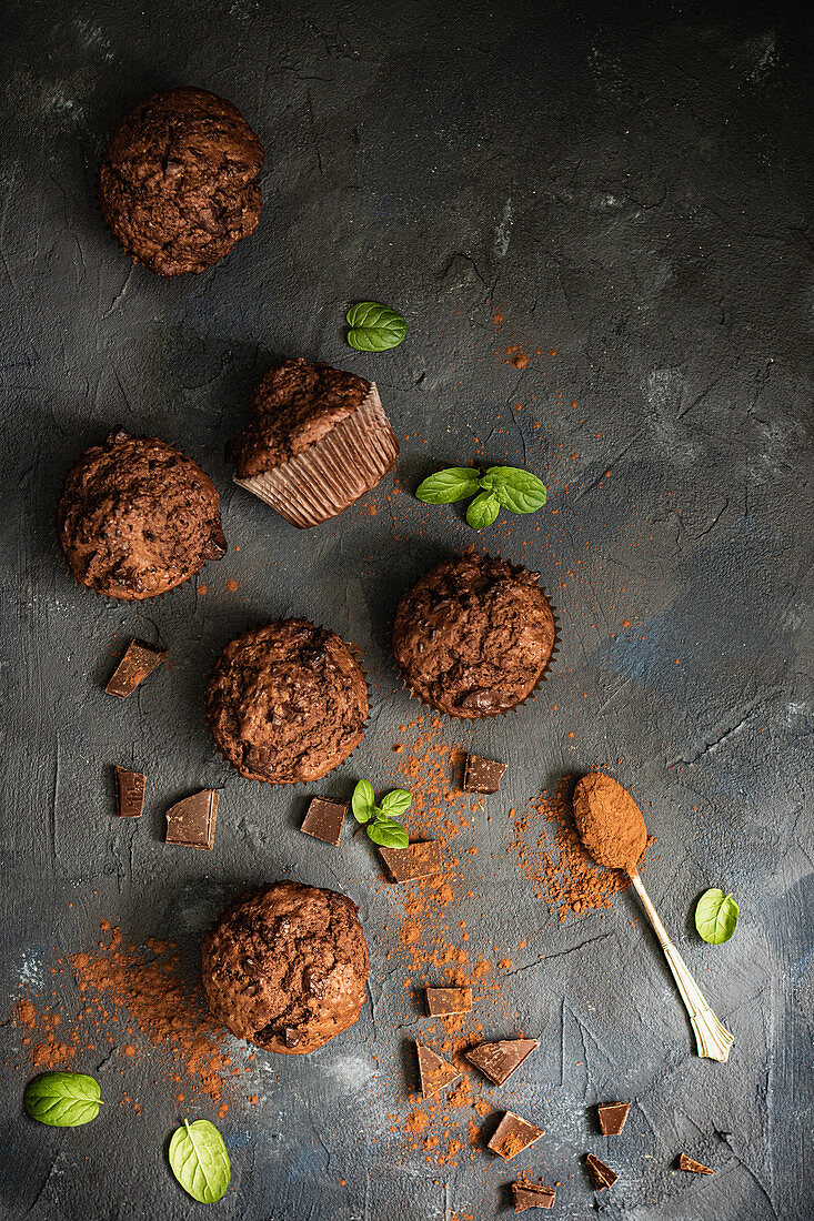 Schokoladenmuffins mit Kakaopulver