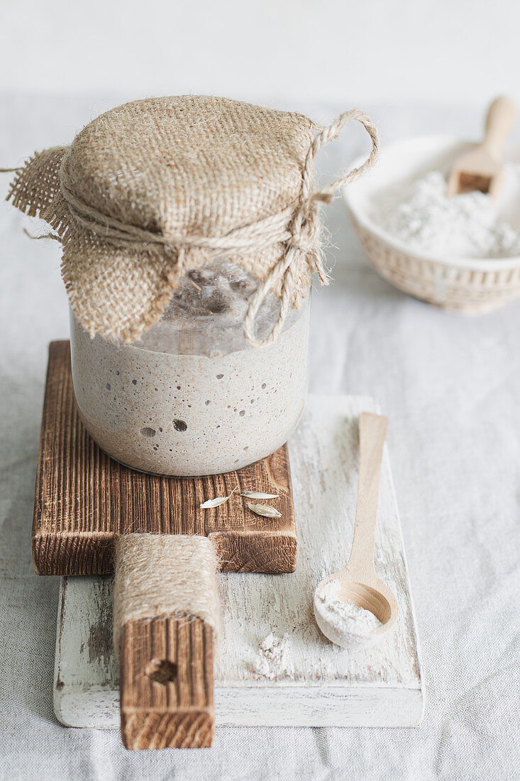 Sourdough starter for homemade bread