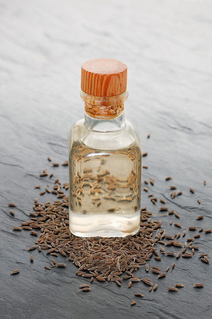 Caraway oil and caraway seeds