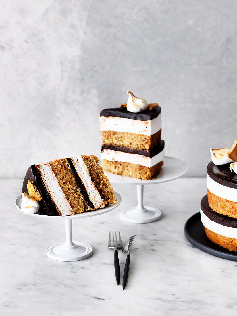 Malted Mallow Smores Cake