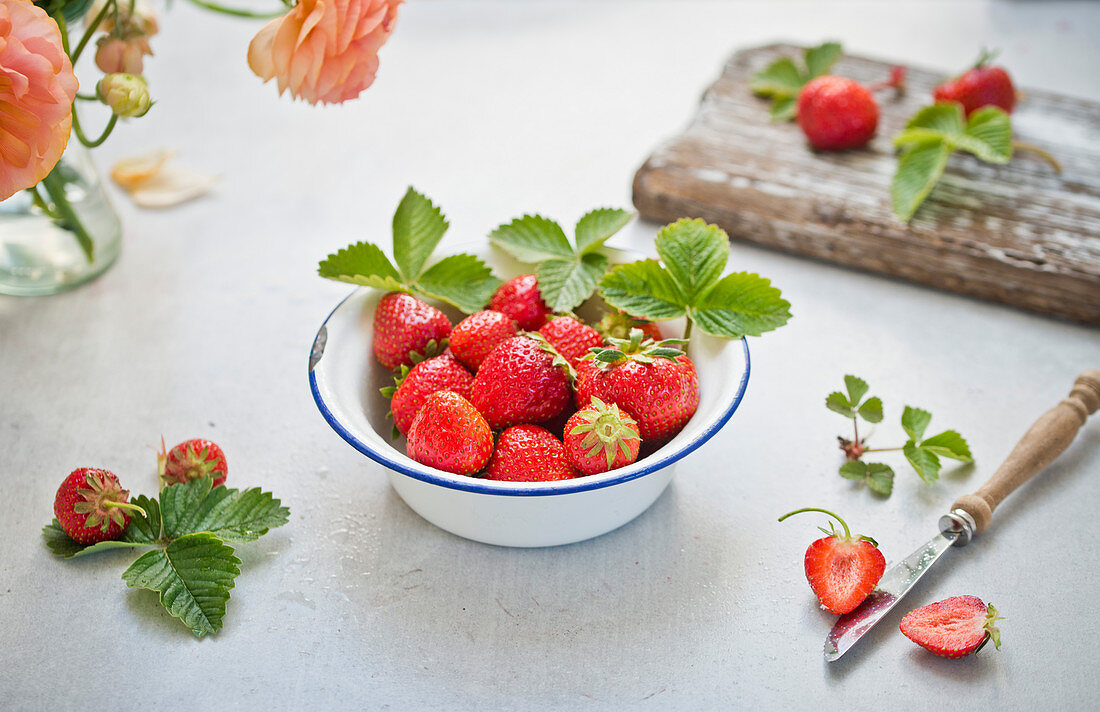 Frische Erdbeeren in Emailschale