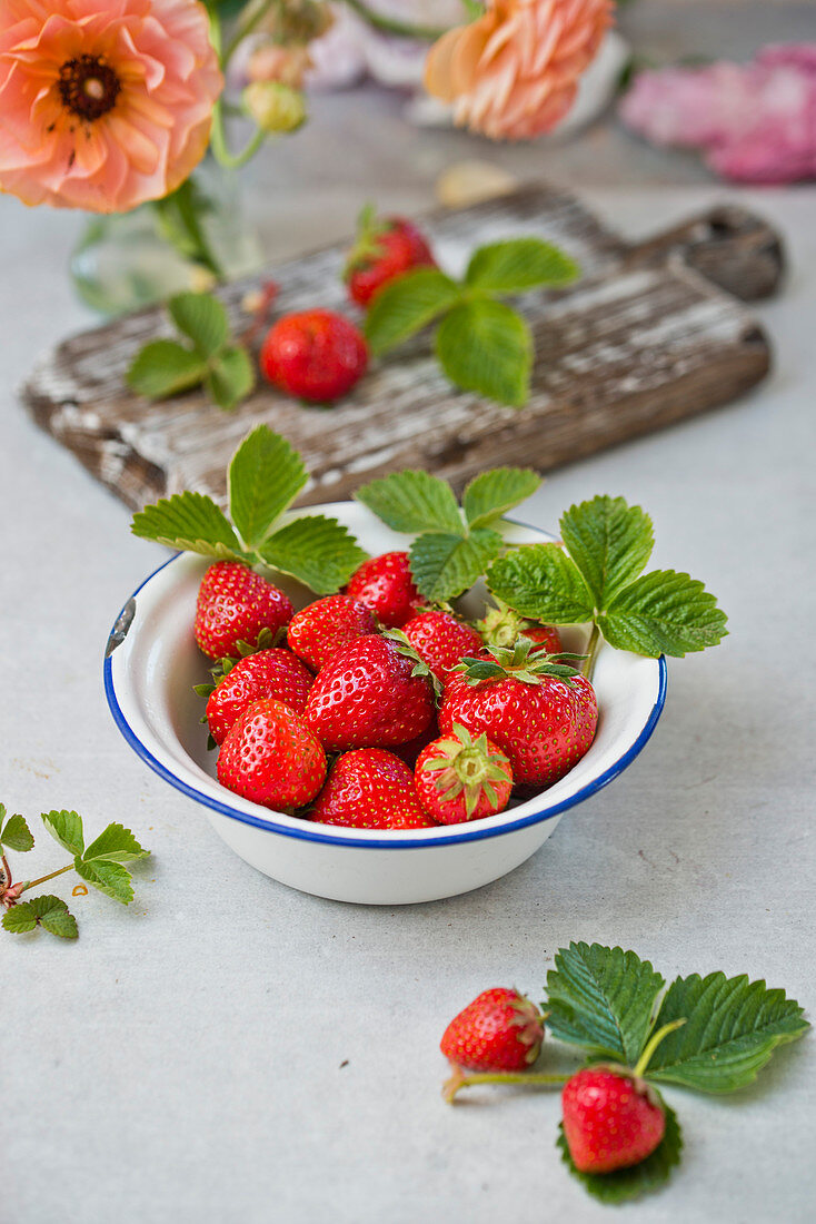 Erdbeeren in Emailschale