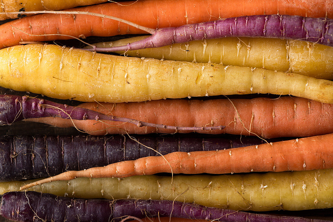 Verschiedenfarbige Karotten