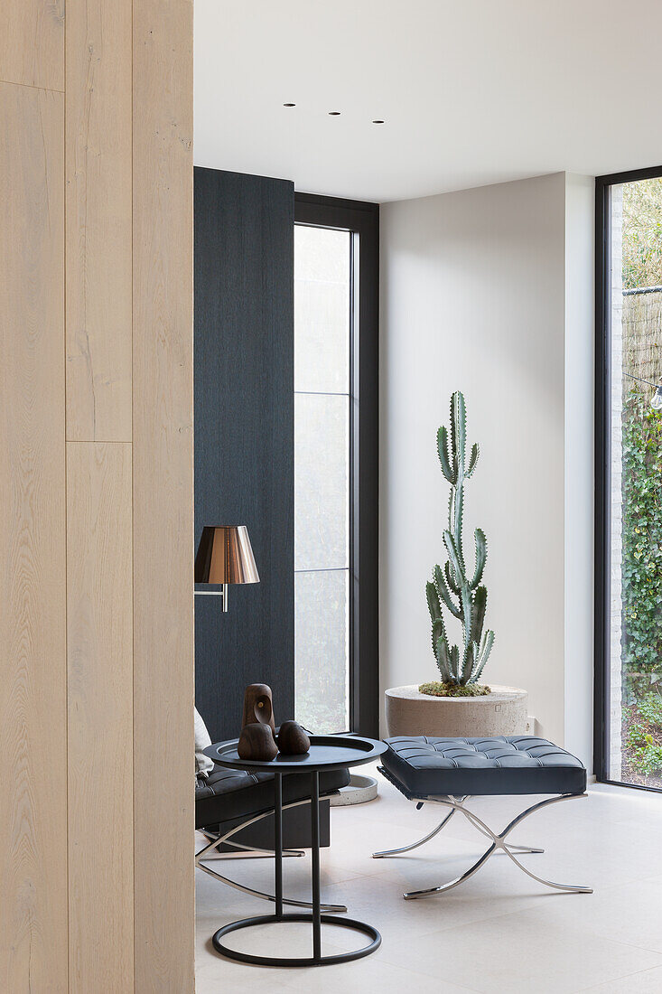 Minimalist living room with cactus and cantilever armchair