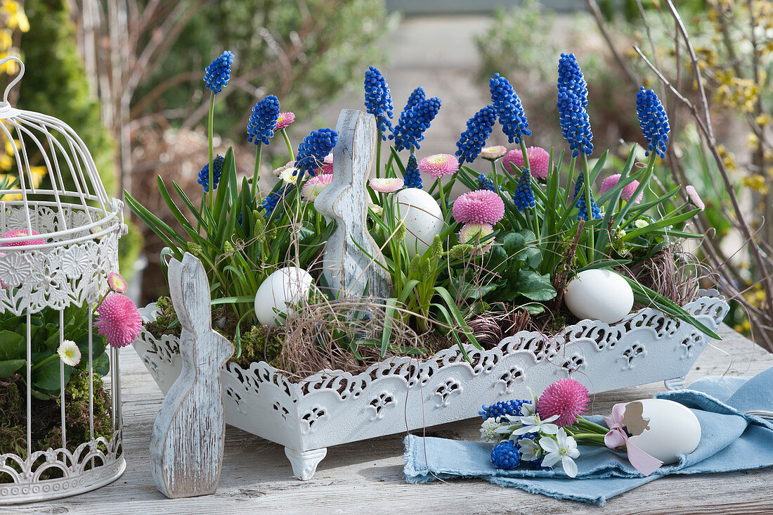 Grape hyacinths and tales with Easter bunnies and Easter eggs as Easter decorations on a metal tray, small bouquet in an egg as a vase