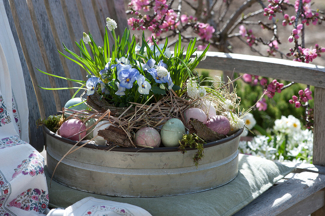 Sheet metal bowl as an Easter basket with horned violets and grape hyacinths on a bench