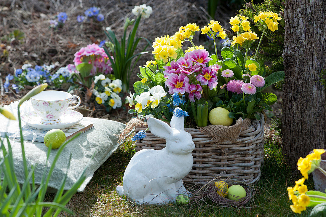 Basket with primroses, daisies, horned violets and grape hyacinths with an Easter bunny and Easter eggs in the garden