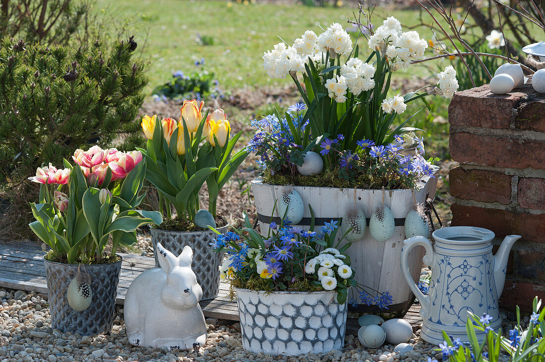 Pot arrangement with tulips 'Toplips' 'Outbreak', daffodils 'Erlicheer', ray anemones, daisy, squill and horned violet, Easter eggs and Easter bunny as decoration