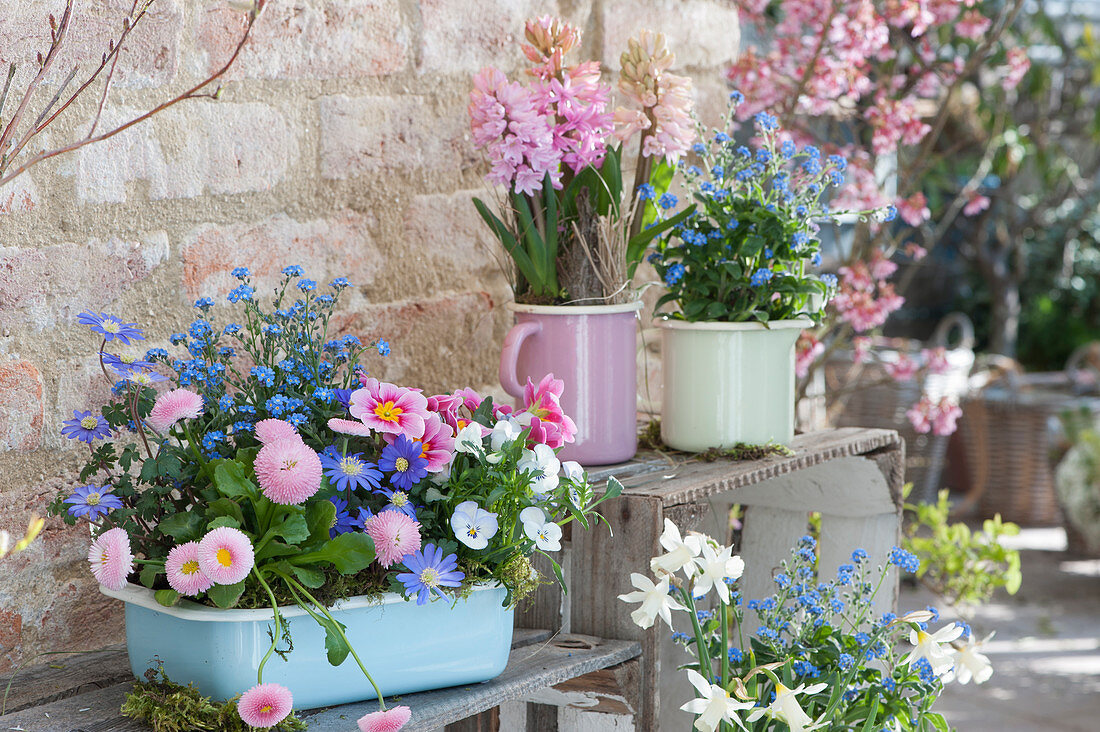 Spring decoration with daisies, forget-me-nots, hyacinths, horned violets, ray anemones, primroses and daffodils
