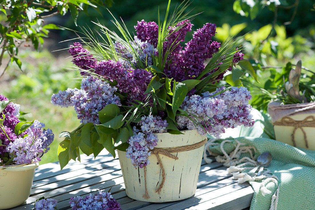 Light and dark mixed lilacs bouquet on bench in the garden