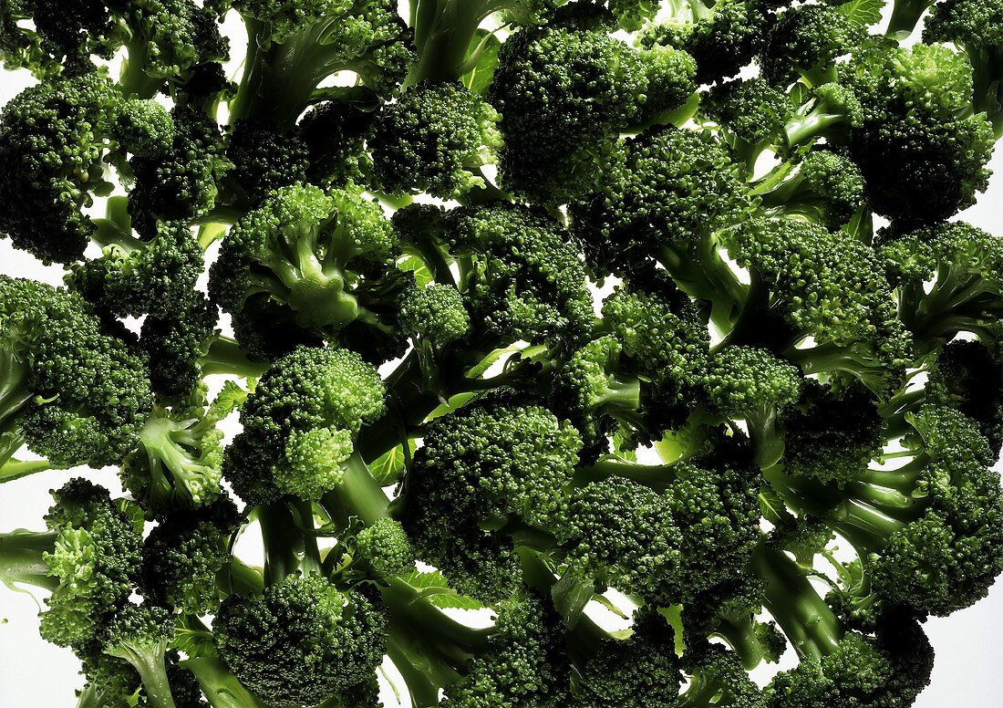 Viele Broccoliröschen (mit Wassertropfen)