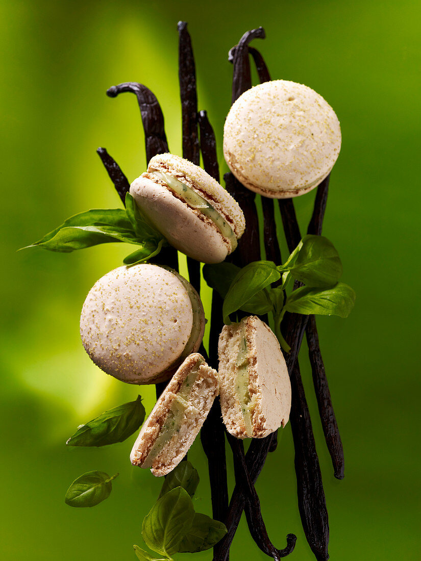 Macarons mit Basilikum und Vanille