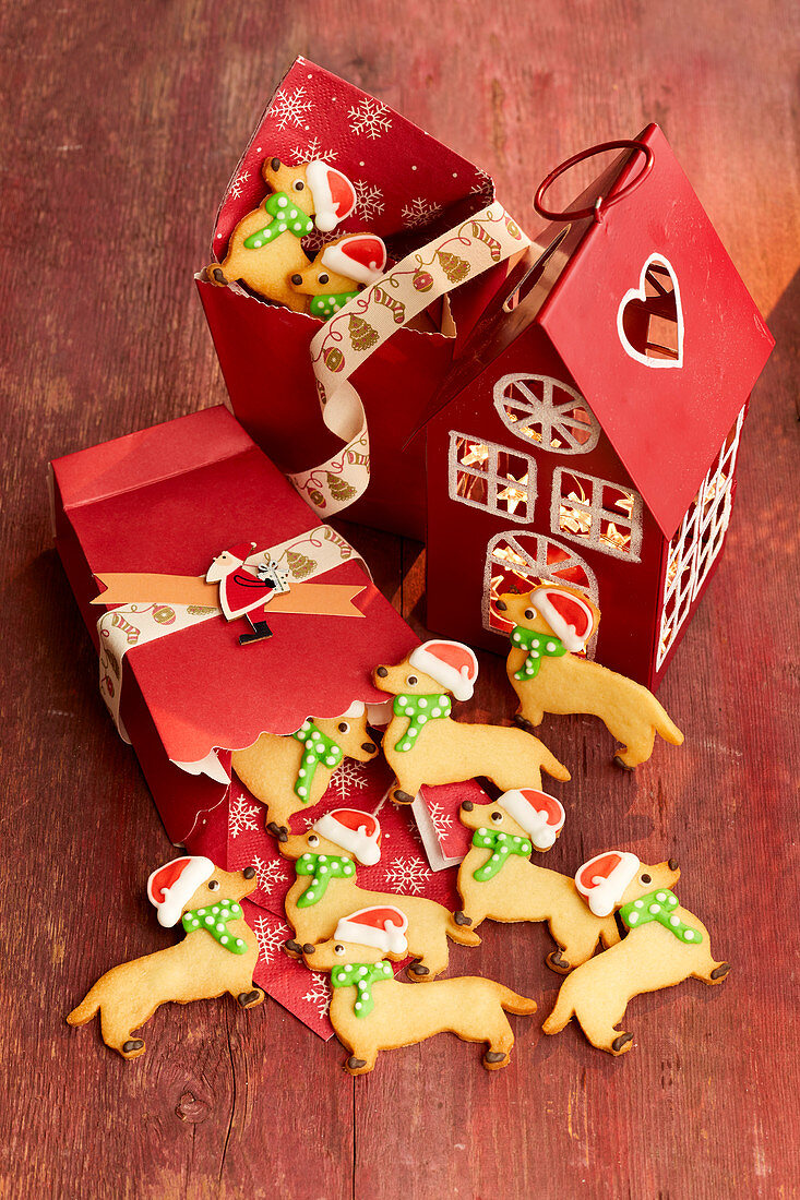 Christmas dachshund cookies