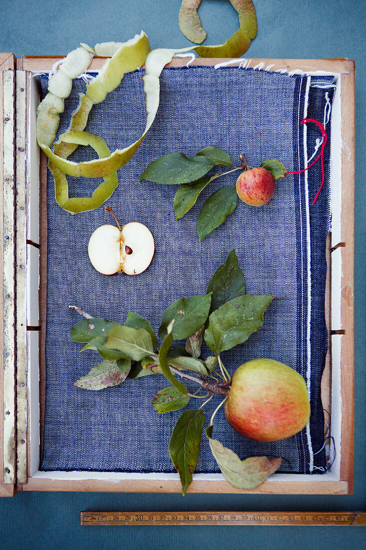 Apples, apple slices and apple peel on blue fabric