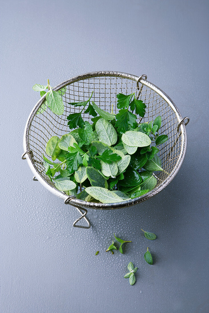 Fresh herb leaves in a sieve