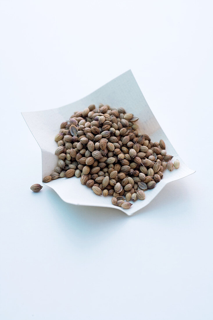 Coriander seeds