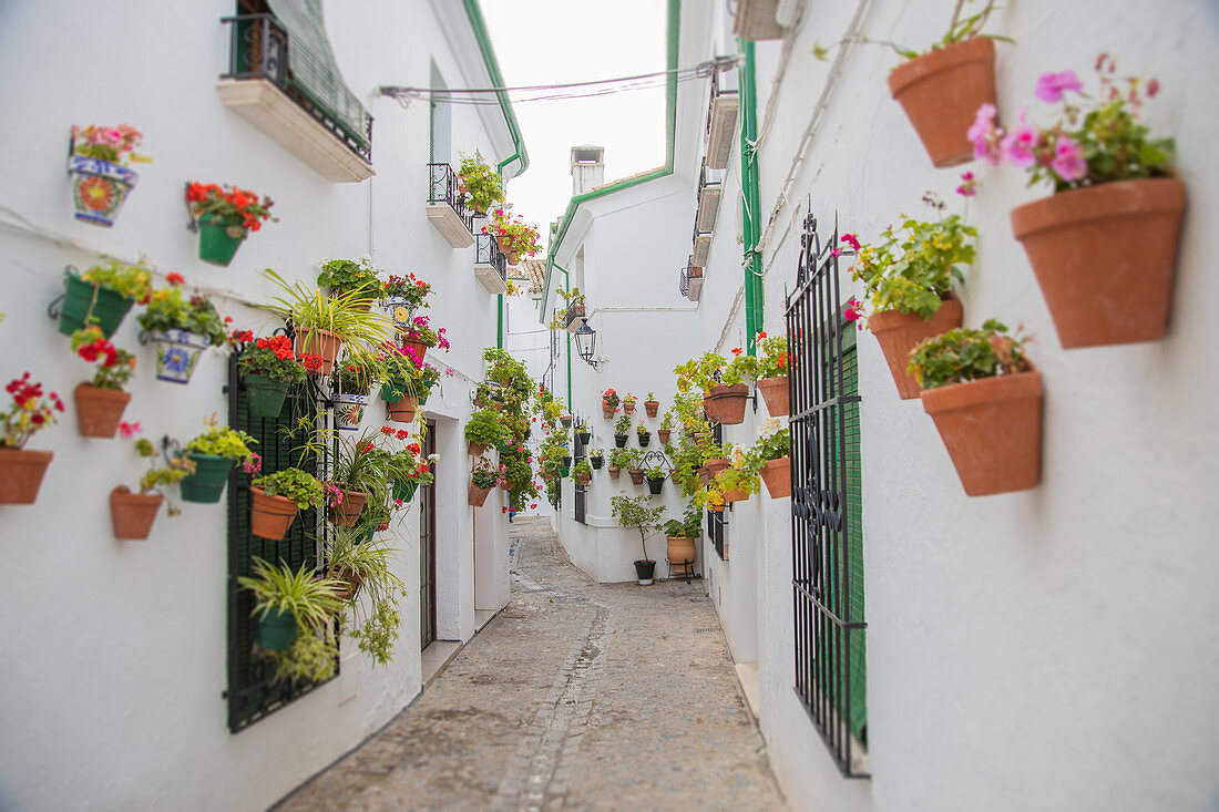 Barrio de la Villa, Altstadtgasse, Priego de Cordoba, Provinz Cordoba, Andalusien, Spanien