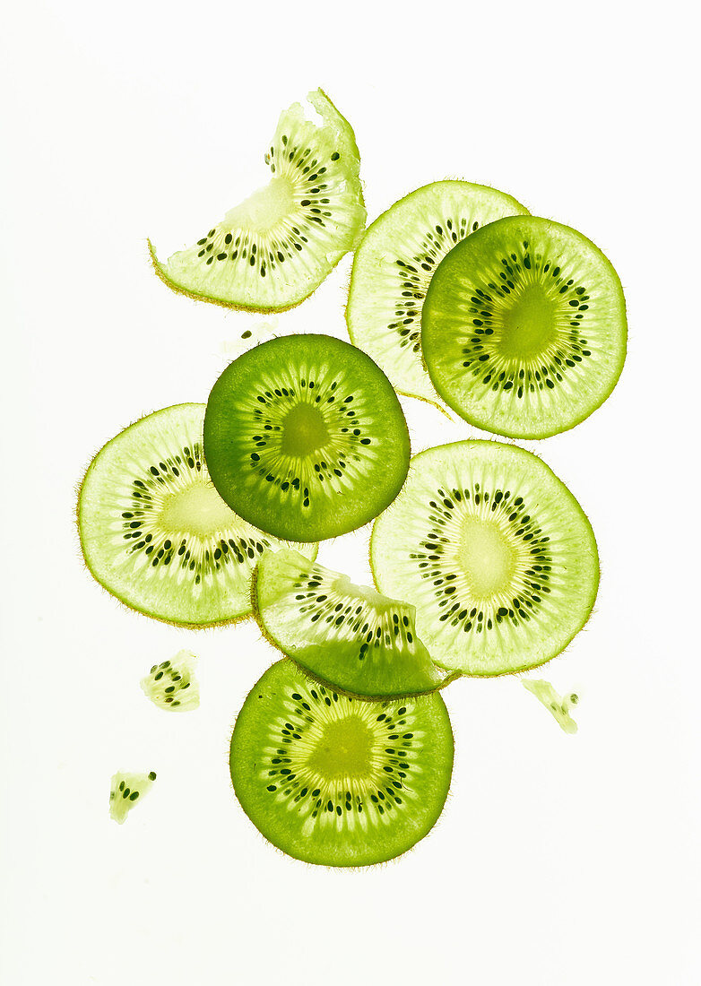 Backlit kiwi fruit slices on white background. Top view layout