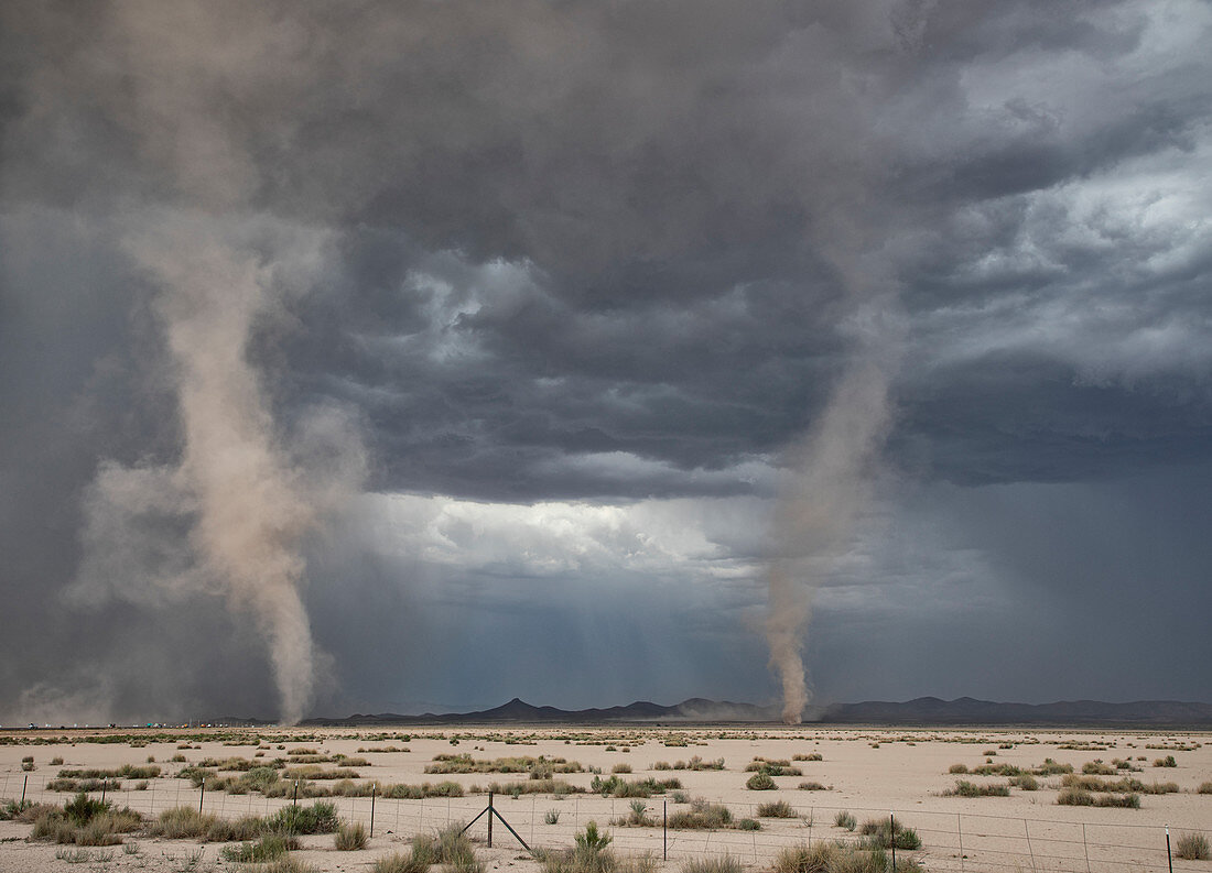 Dust devils, New Mexico, USA
