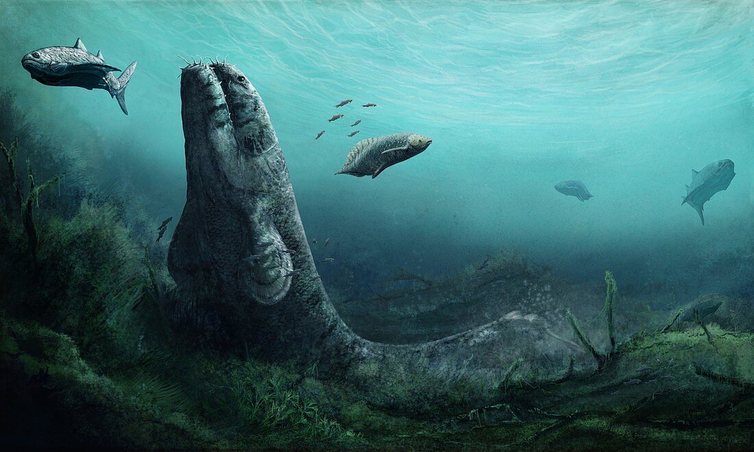 Rhizodus prehistoric fish, illustration