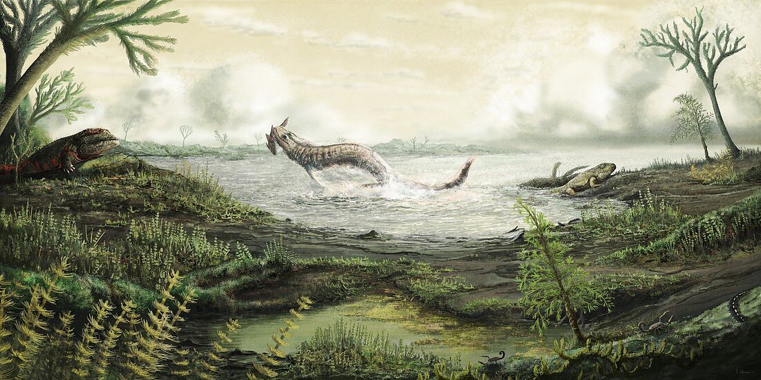 Carboniferous tetrapods, illustration