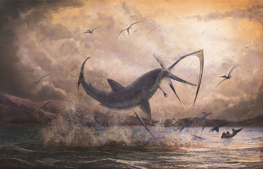 Prehistoric shark attacking pterosaur, illustration