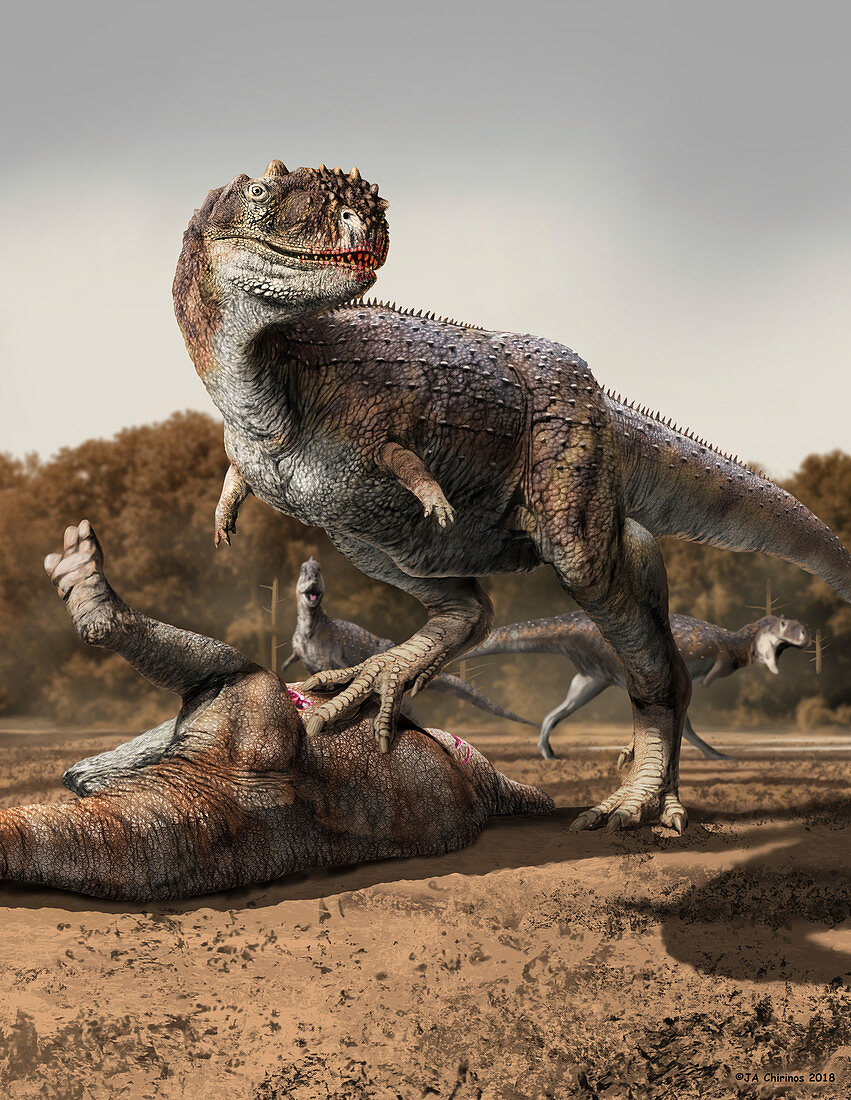 Rajasaurus dinosaur with kill, illustration