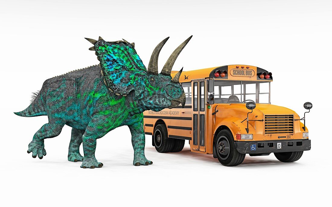 Pentaceratops and school bus, illustration
