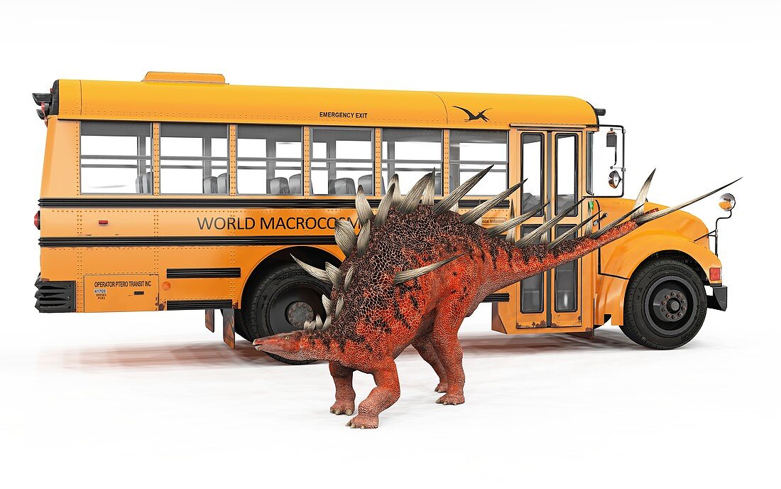 Kentrosaurus and school bus, illustration