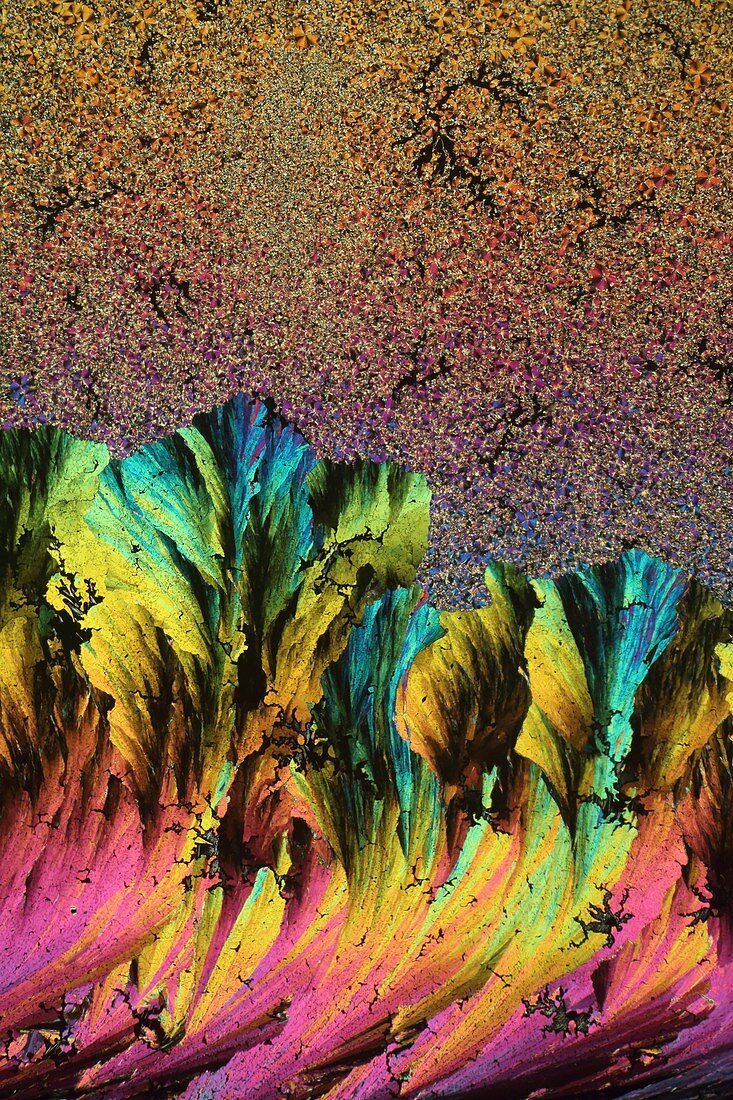 Niacinamide, polarised light micrograph
