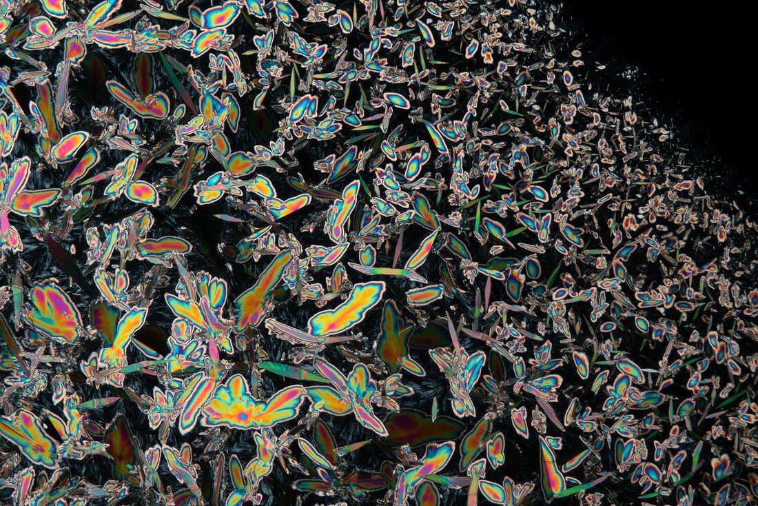 Vitamin B3 (nicotinamide), polarised light micrograph