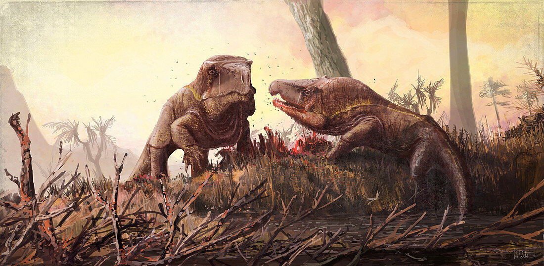 Garjainia prehistoric reptile, illustration