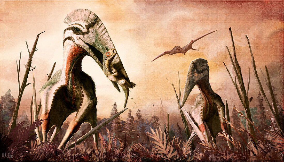 Hatzegopteryx pterosaurs with prey, illustration