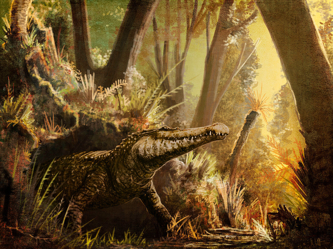 Hulkepholis prehistoric crocodyliform, illustration