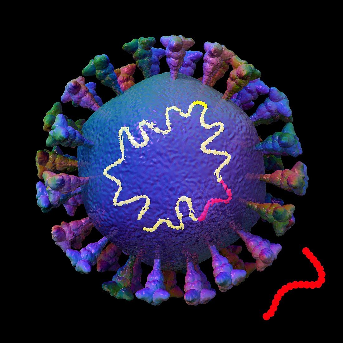 Creating new coronavirus strain, conceptual illustration