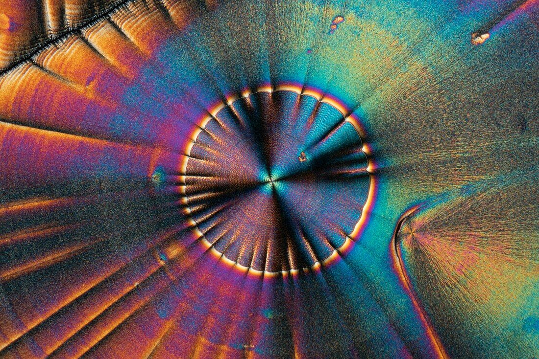 Vitamin C, polarised light micrograph