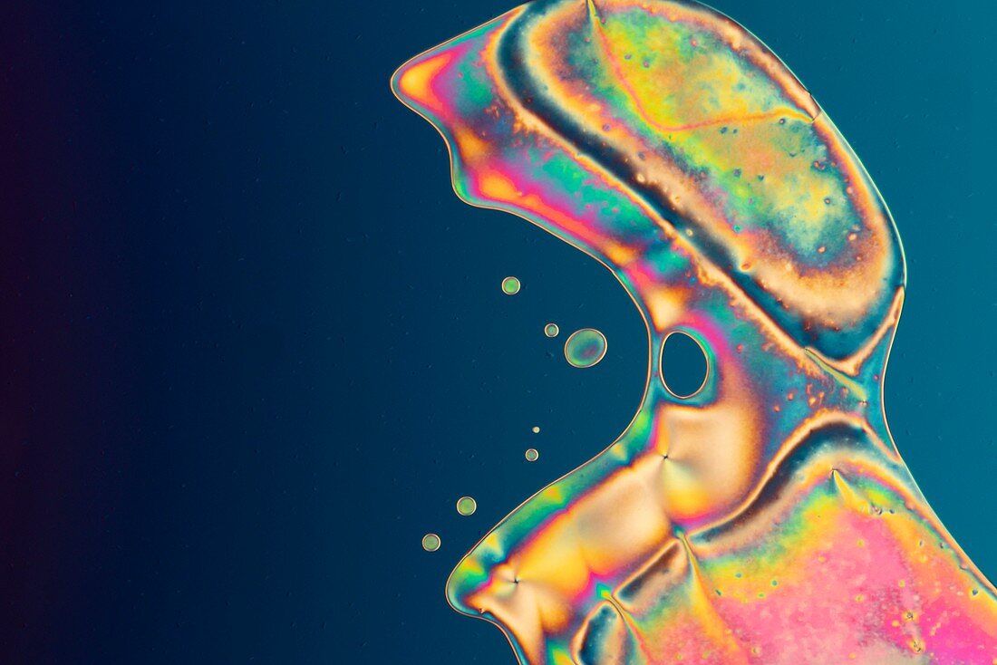 Liquid crystal, polarised light micrograph